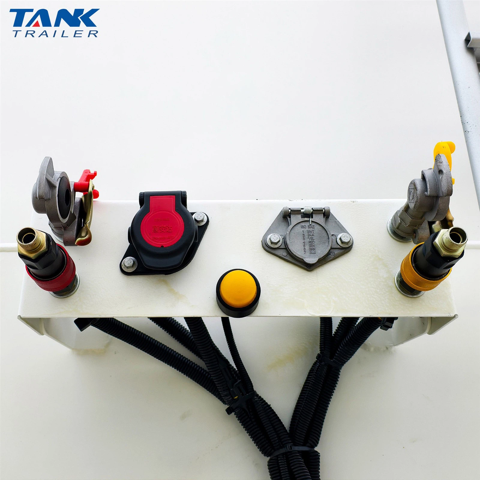 Electrical System and ABS Electrical System and ABS